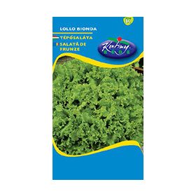 LOLLO BIONDA TÉPŐSALÁTA 