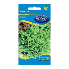 DUBACEK TÖLGYLEVELŰSALÁTA