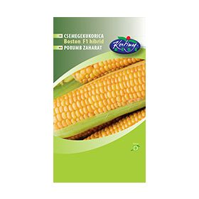 BOSTON F1 CSEMEGEKUKORICA 