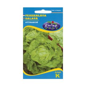 ATTRAKCIÓ FEJESSALÁTA