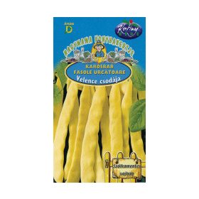 KARÓSBAB VELENCE CSODÁJA 